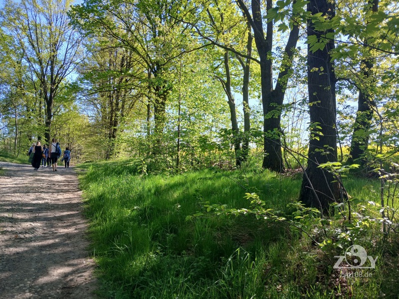 Ein Spaziergang zu unserem Übungsort im Freien
