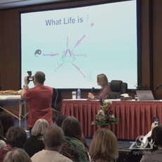 Theorie und Praxis der Image Medizin