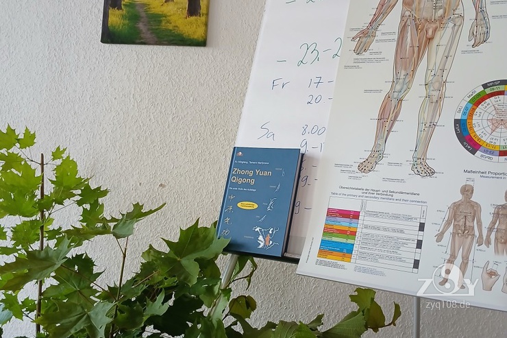 Das Seminar für die 1.Stufe ZYQ ist startklar