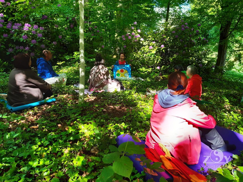 Die Wuxing-Theorie - naturnah erklärt ;)