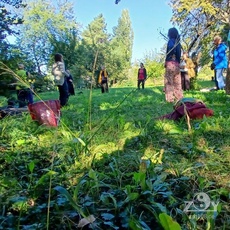 Das Üben im privaten Park