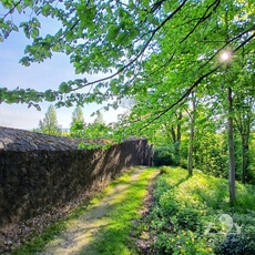 Das macht gute Laune!