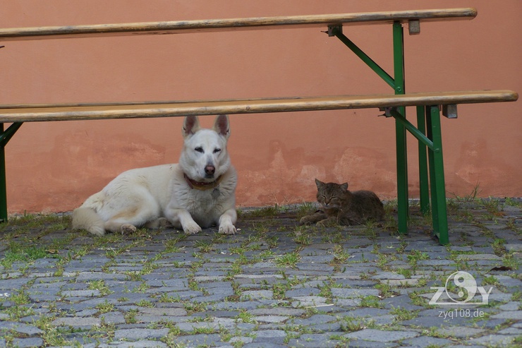 Die Harmonie des Ortes