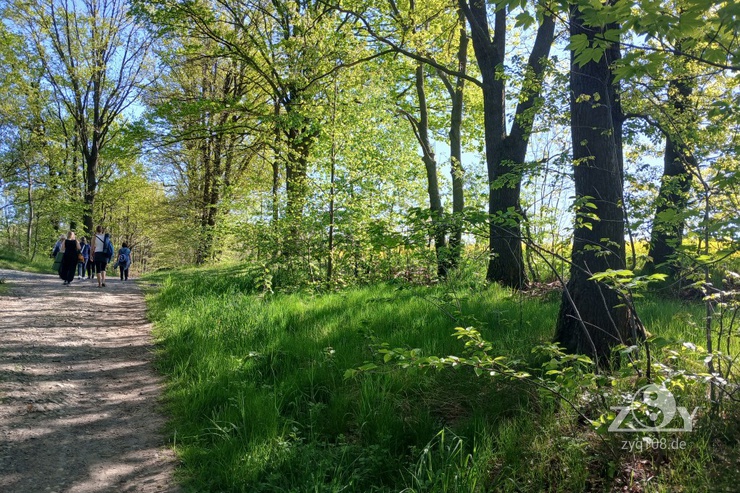 Ein Spaziergang zu unserem Übungsort im Freien