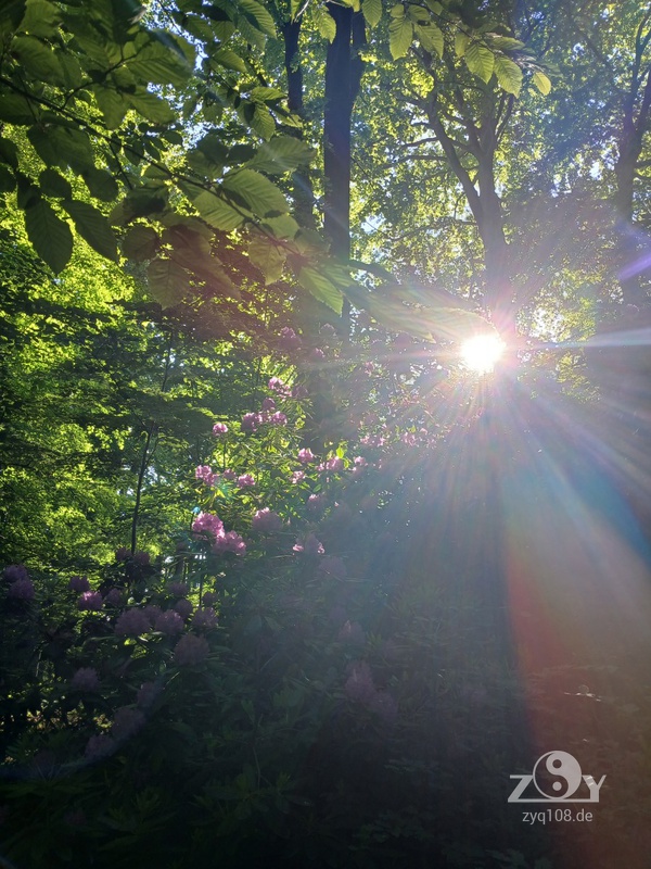 Die schönsten Stunden!