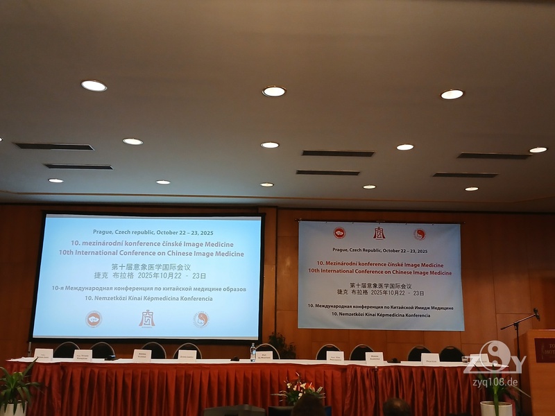 2-tägige Internationale Konferenz für Image medizin