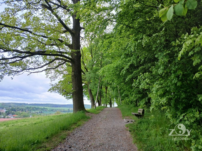 Unzählige schöne Wege in der Natur