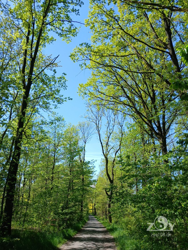 Hier haben wir die Natur vor der Tür