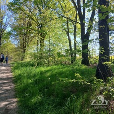 Ein Spaziergang zu unserem Übungsort im Freien