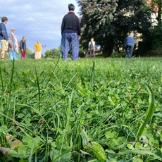 Qigong-Retreat mit Lenka im September