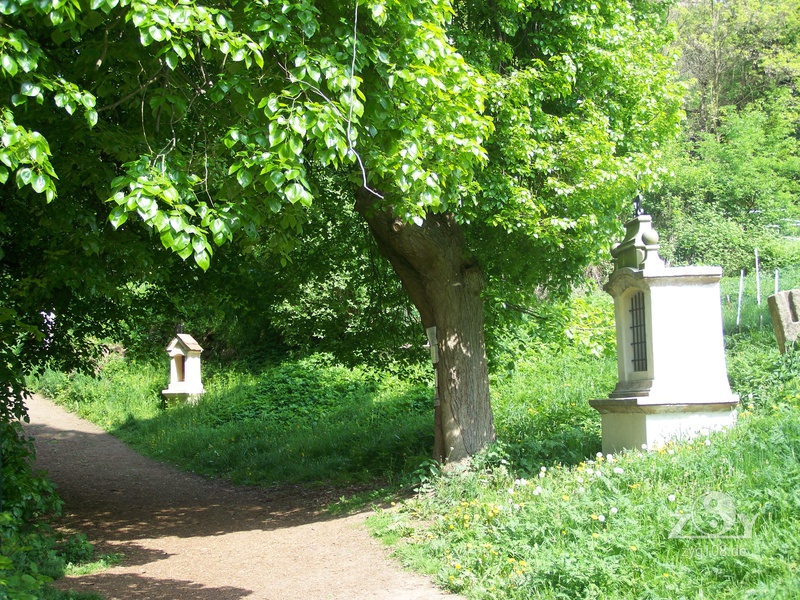 Der Weg zum Berg