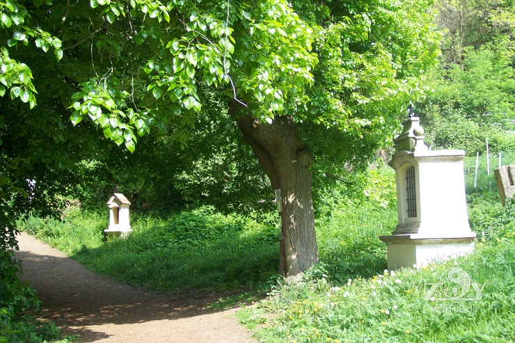 Der Weg zum Berg