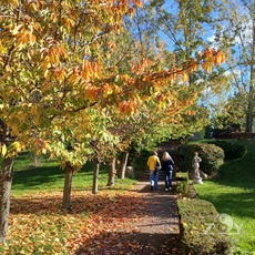 Frische Luft schnappen in der Pause