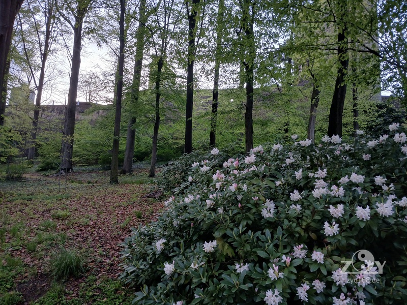 Im Park an der Burg: den Frühling genießen!