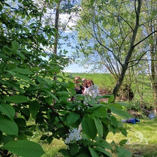 Wunderschöne Frauen