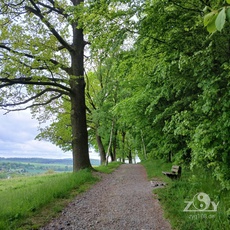 Unzählige schöne Wege in der Natur