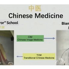 Die 2 Schulen in der Gesischte der Chin. Medizin