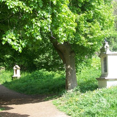 Der Weg zum Berg