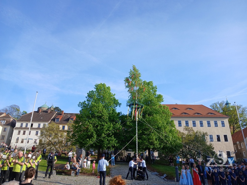 Maibaum am Marktplatz