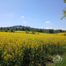 Schönste Aussichten