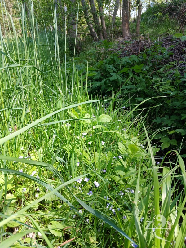 Heute üben wir an einem kleinen Bach