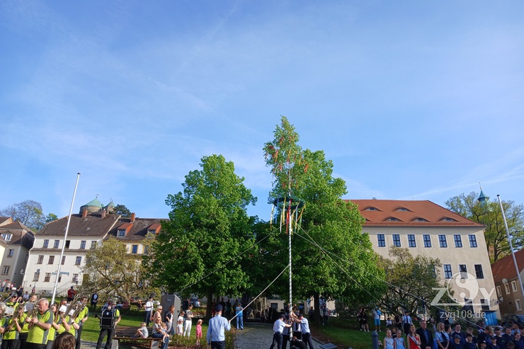 Maibaum am Marktplatz