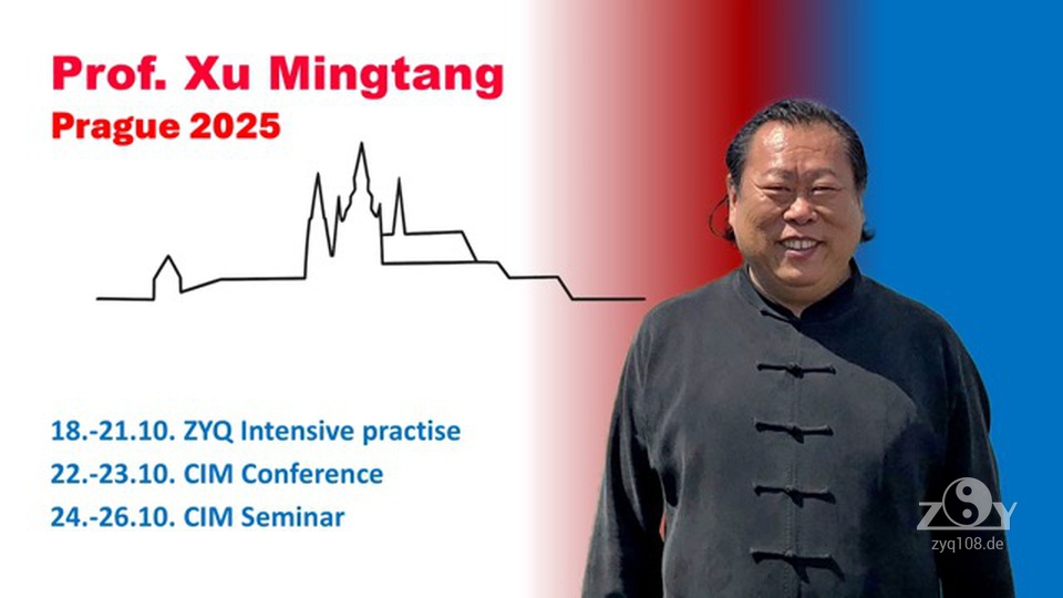 Großmeister Prof. Xu Mingtang in Prag