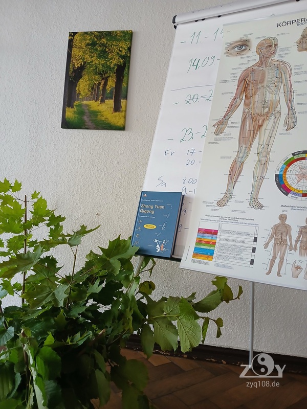 Das Seminar für die 1.Stufe ZYQ ist startklar