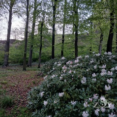 Im Park an der Burg: den Frühling genießen!