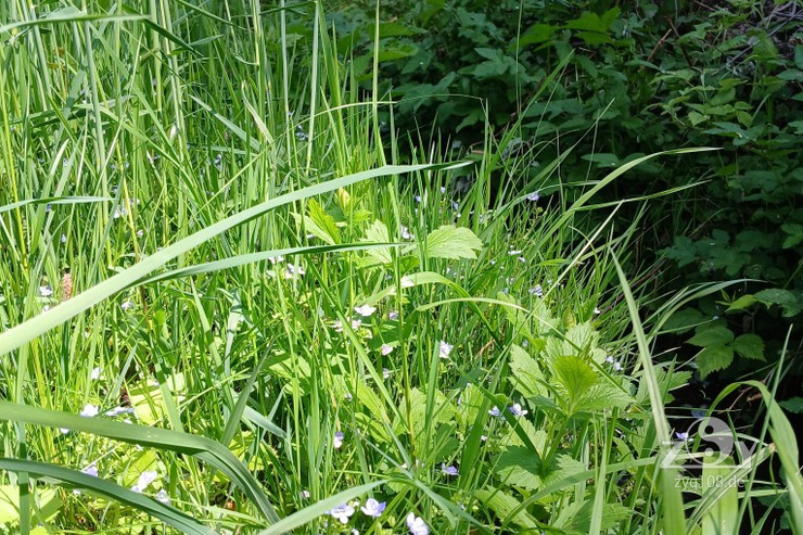 Heute üben wir an einem kleinen Bach