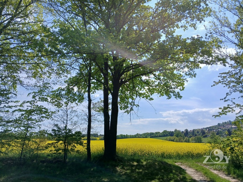 Die Energie der Natur
