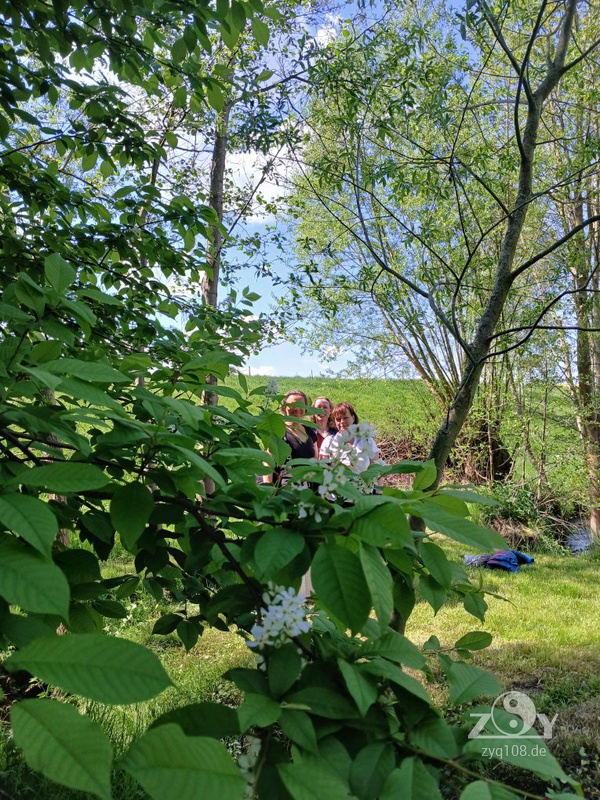 Wunderschöne Frauen