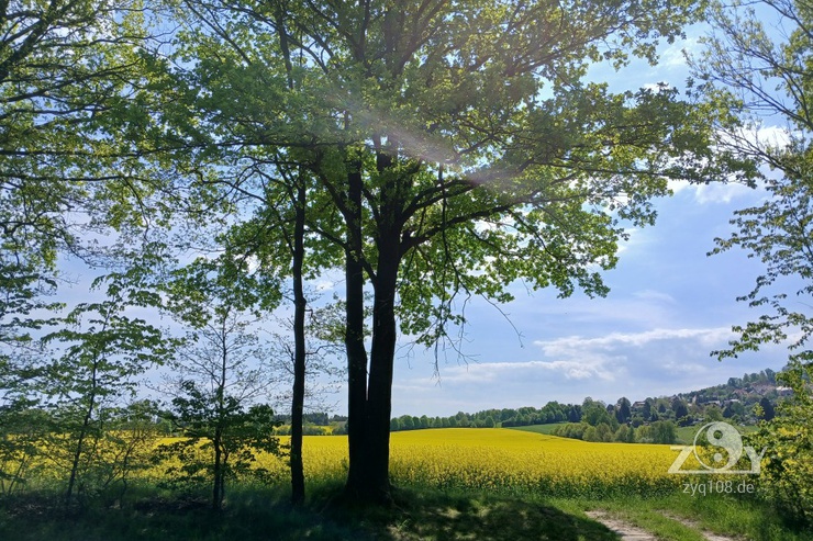 Die Energie der Natur