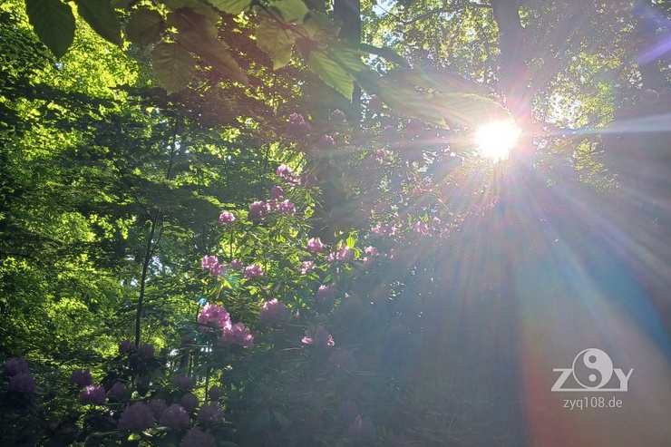 Die schönsten Stunden!