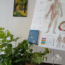 Das Seminar für die 1.Stufe ZYQ ist startklar