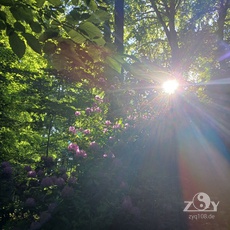 Die schönsten Stunden!