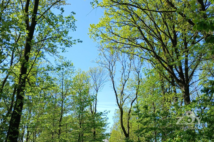 Hier haben wir die Natur vor der Tür