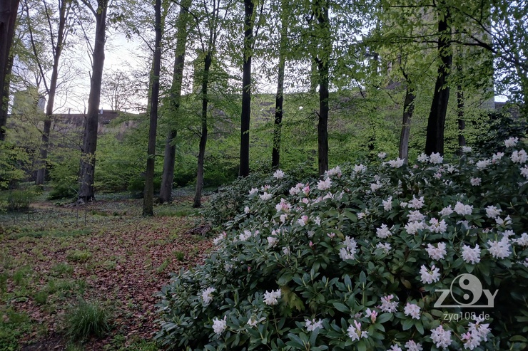 Im Park an der Burg: den Frühling genießen!