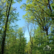 Hier haben wir die Natur vor der Tür